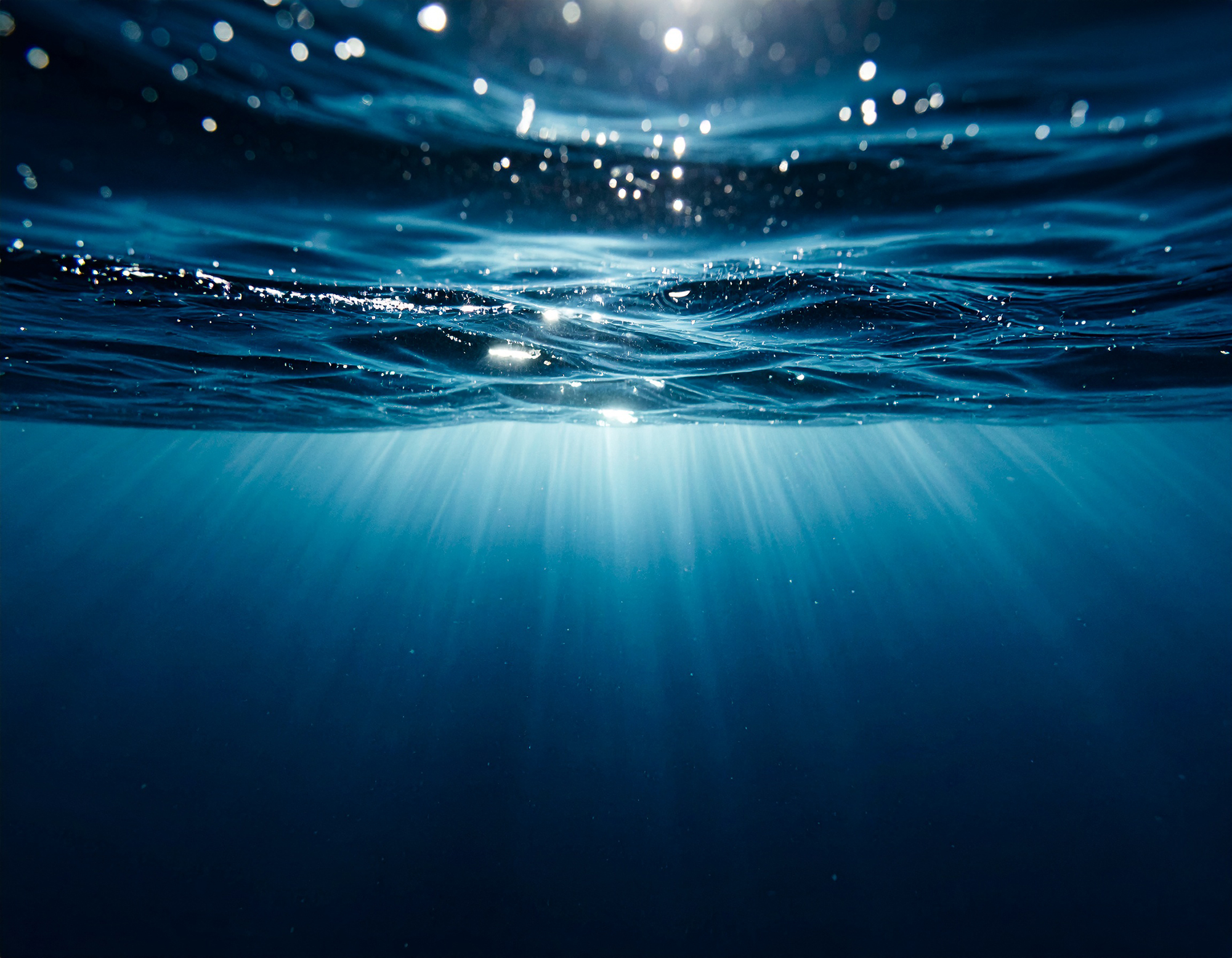 石崎芙美子社会保険労務士事務所