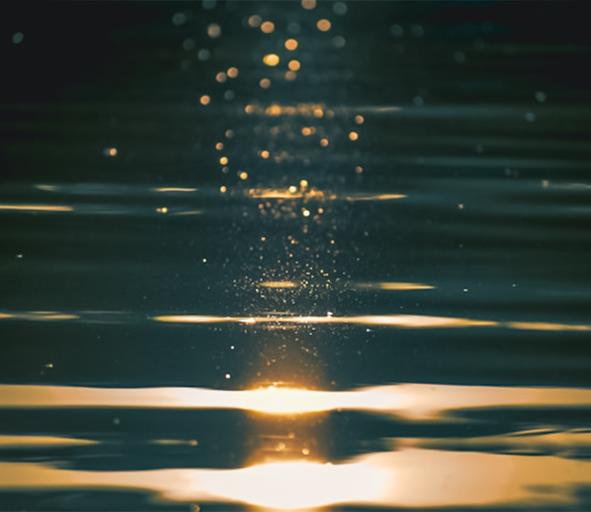 石崎芙美子社会保険労務士事務所